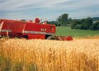 MF Drescher 14
